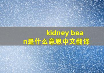 kidney bean是什么意思中文翻译